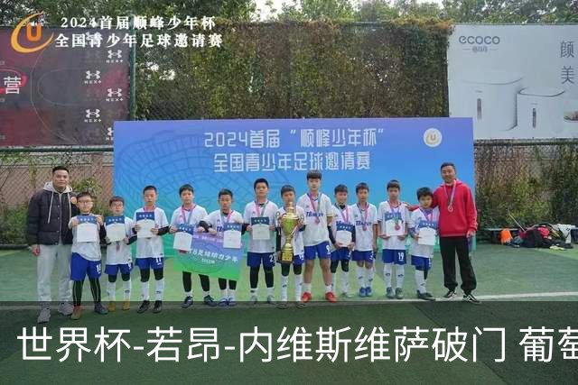 世界杯-若昂-内维斯维萨破门 葡萄牙半场暂1-1民主刚果